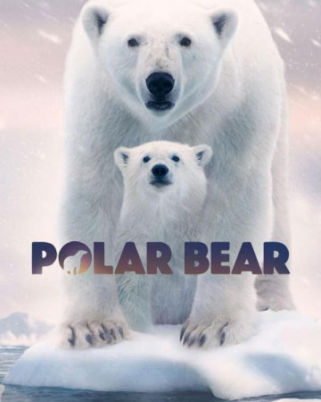 북극곰 (우리말) Polar.Bear.2022.720p.KORDUB.HDRip.H264.AAC-REEL